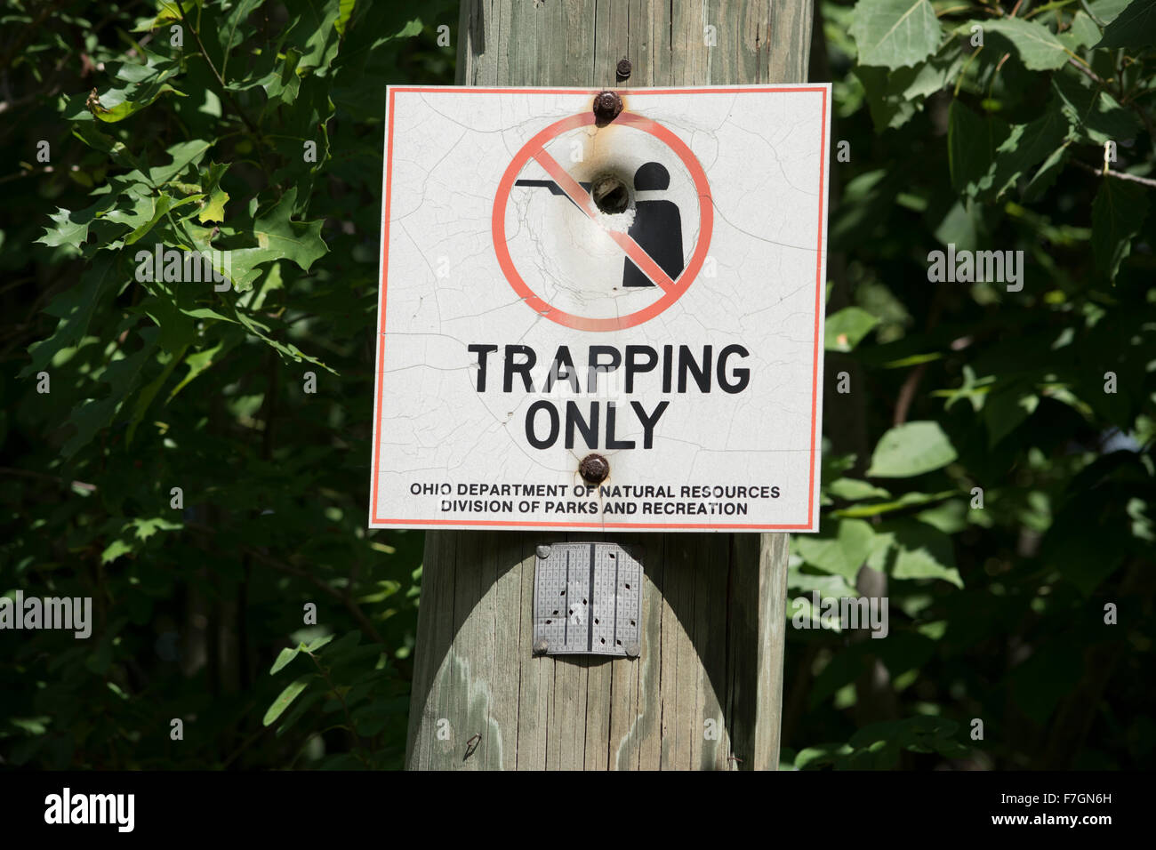 Trapping only sign Stock Photo