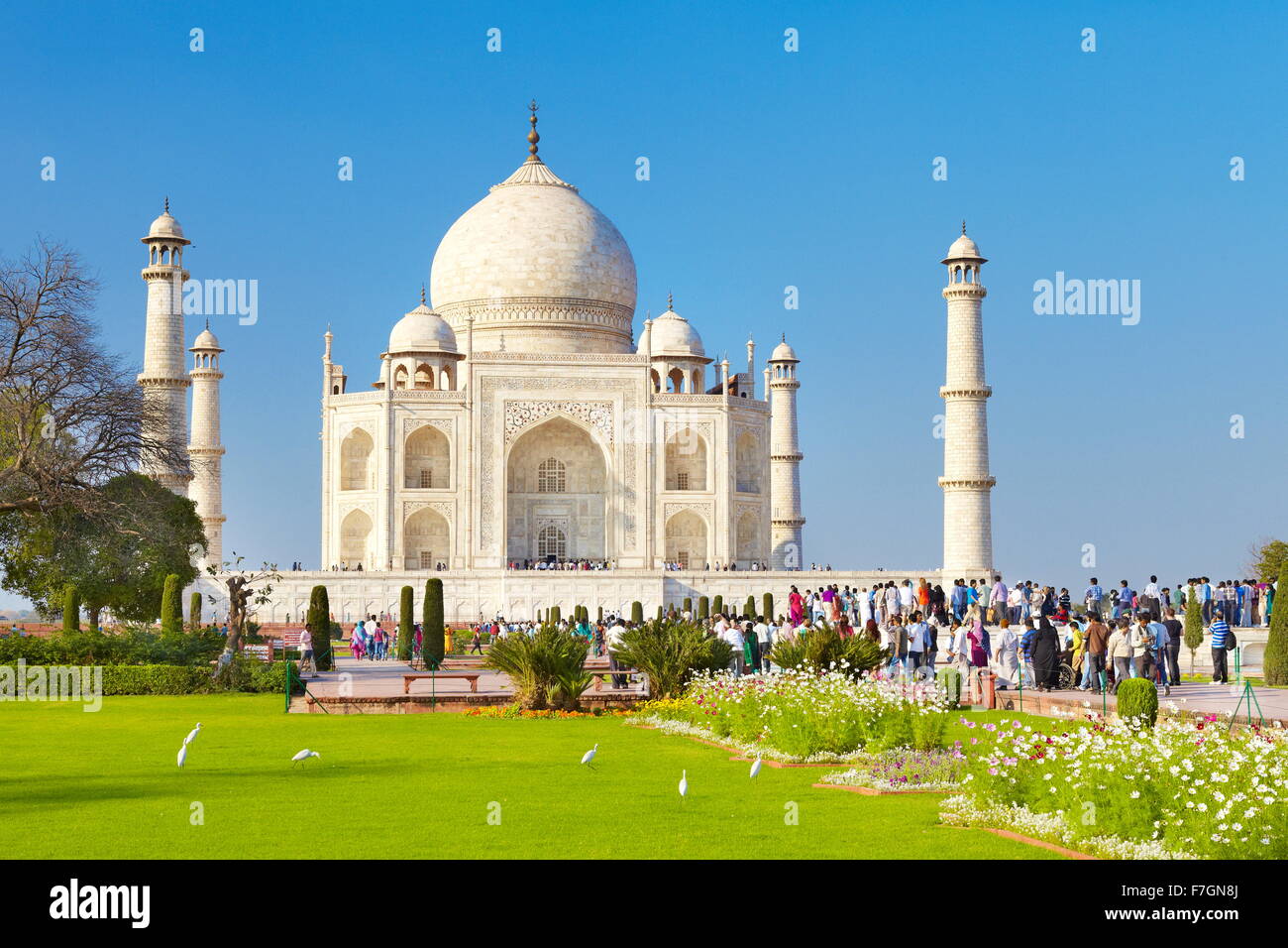 Taj Mahal and the Mughal gardens of the Taj Mahal, Agra, Uttar Pradesh, India Stock Photo
