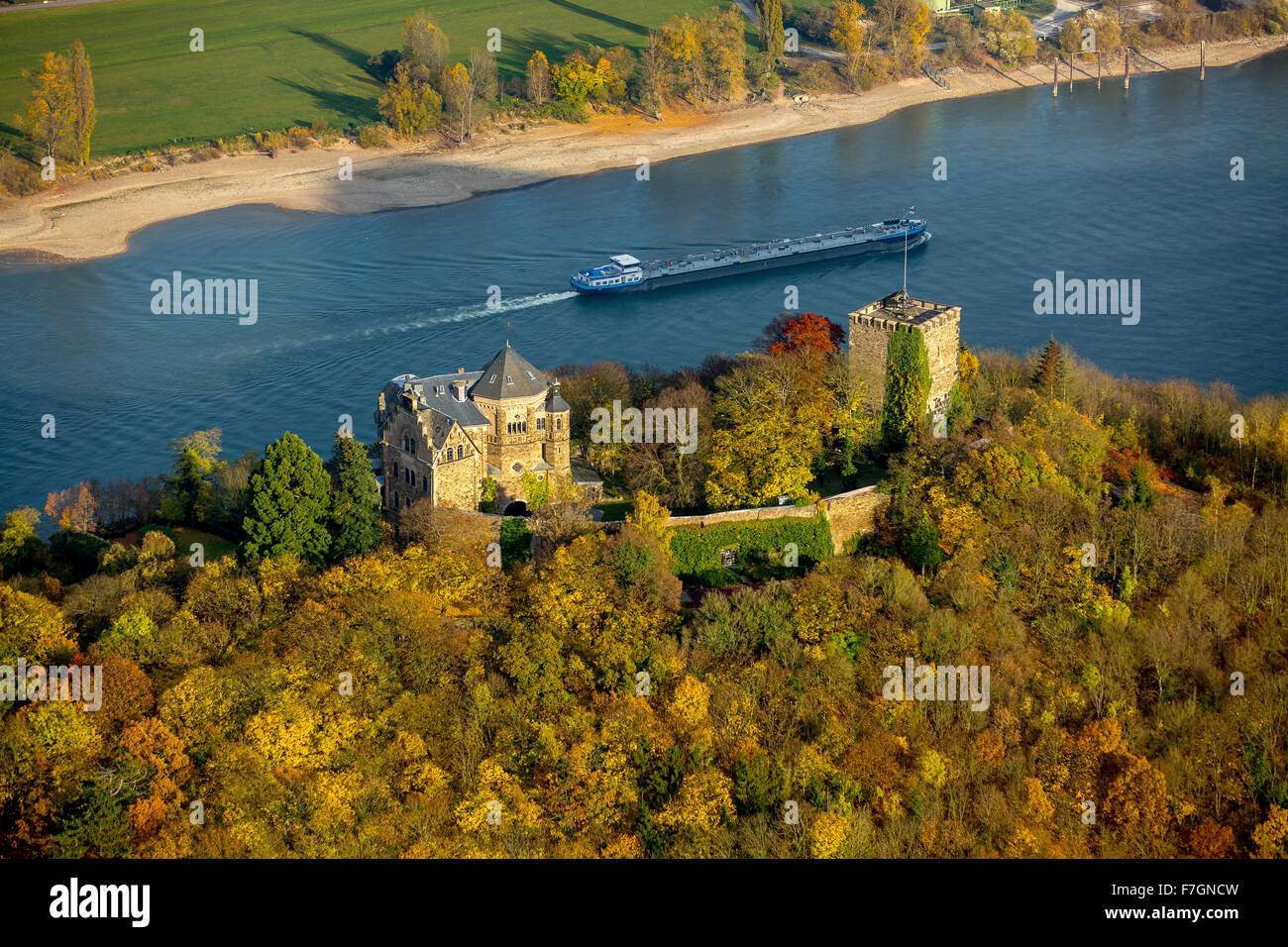 Burg Rheineck in the Rhine Valley, Rhine, autumn leaves, ship, cargo, inland waterways, gas tankers, Bad Breisig, Ahrweiler, Stock Photo