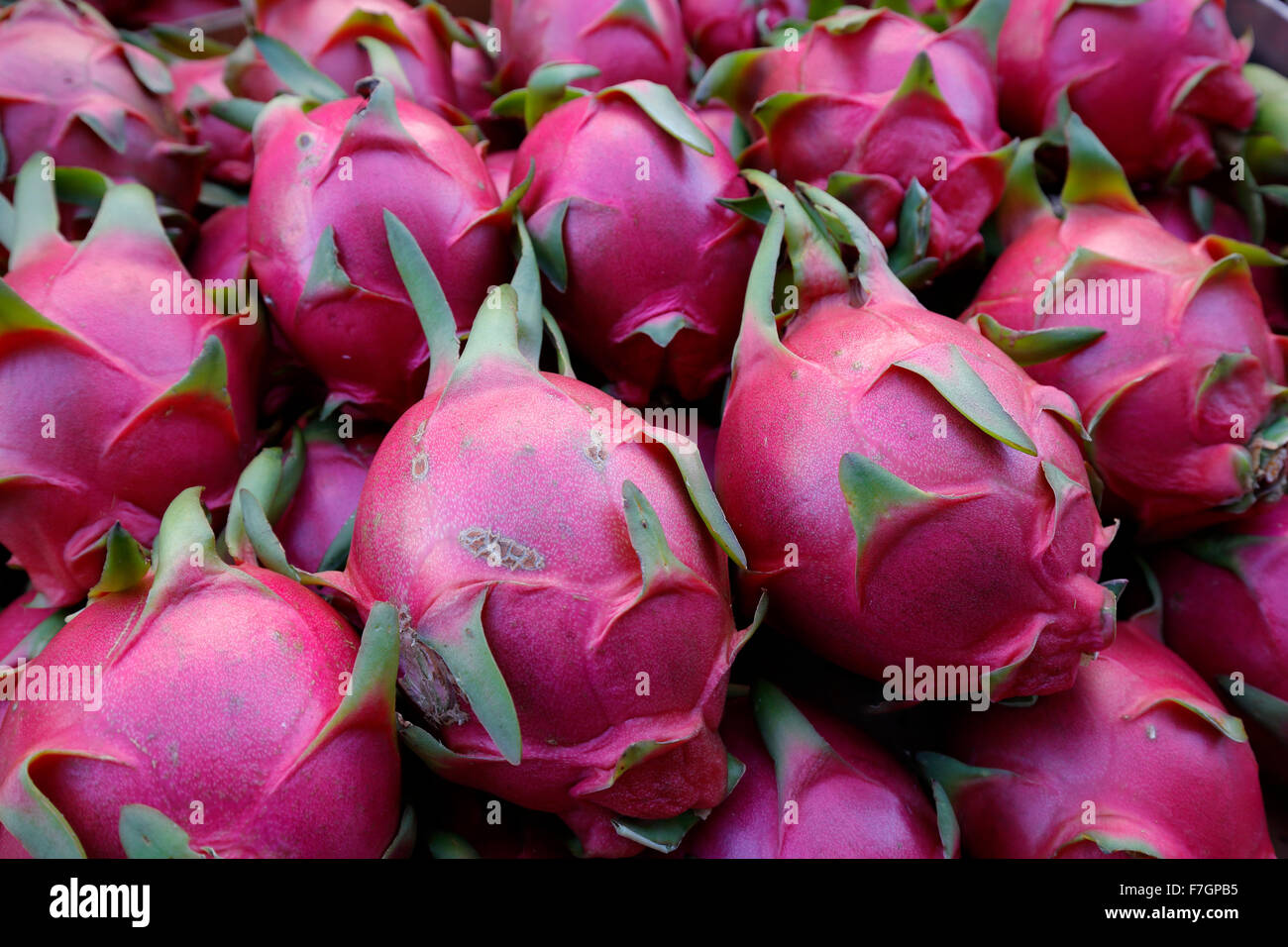 stack of dragon fruit for sale Stock Photo Alamy