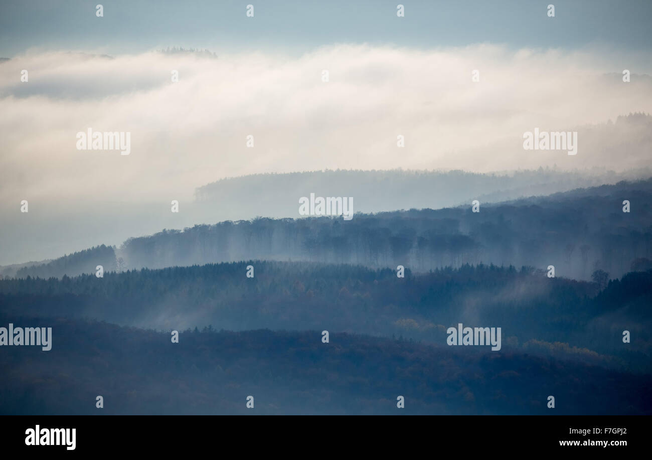 Forests of the Middle Rhine Taunus in fog, Taunus, Forest, Dachsenhausen, Rhine Valley, Rhineland-Palatinate, Germany Europe, Stock Photo