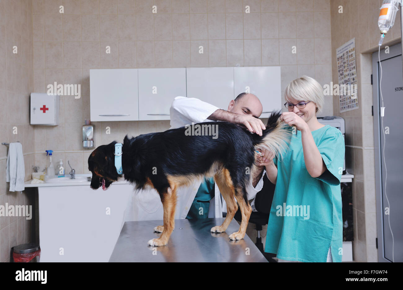portrait of a veterinarian and assistant in a small animal clinic at