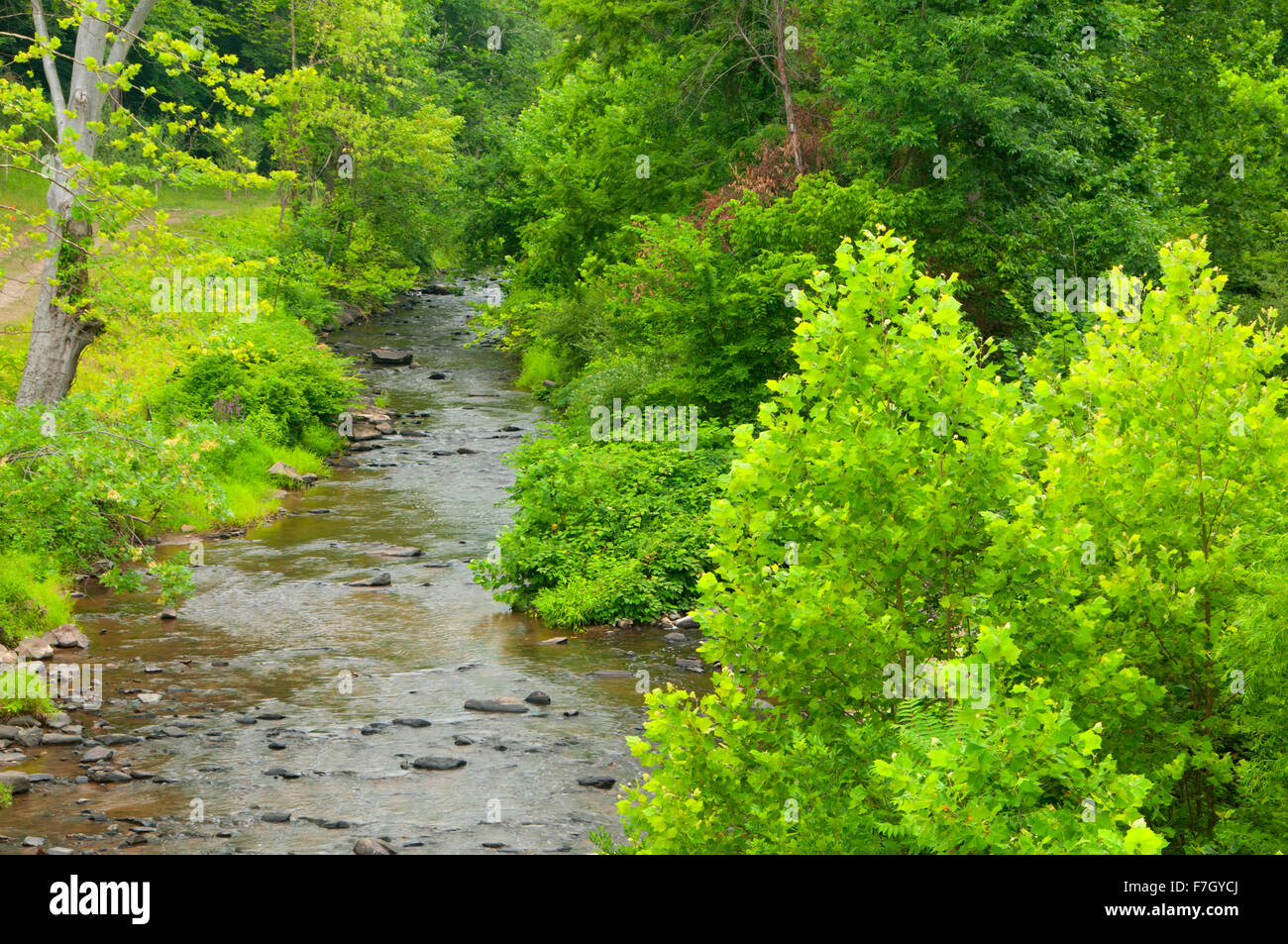 Little Patuxent River, Savage Park, Maryland Stock Photo Alamy
