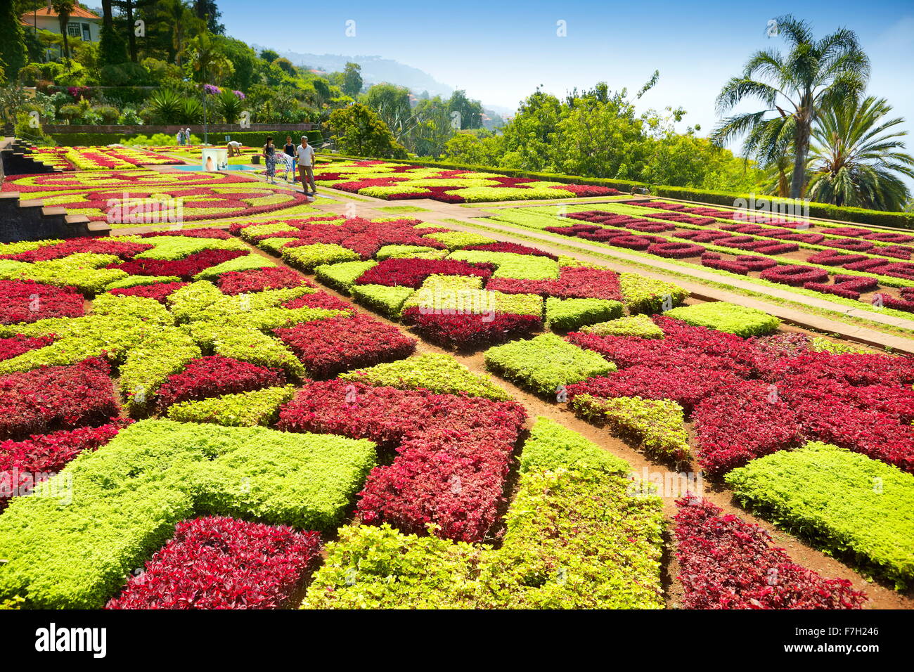 Madeira Island - Botanical Garden, Funchal, Portugal Stock Photo