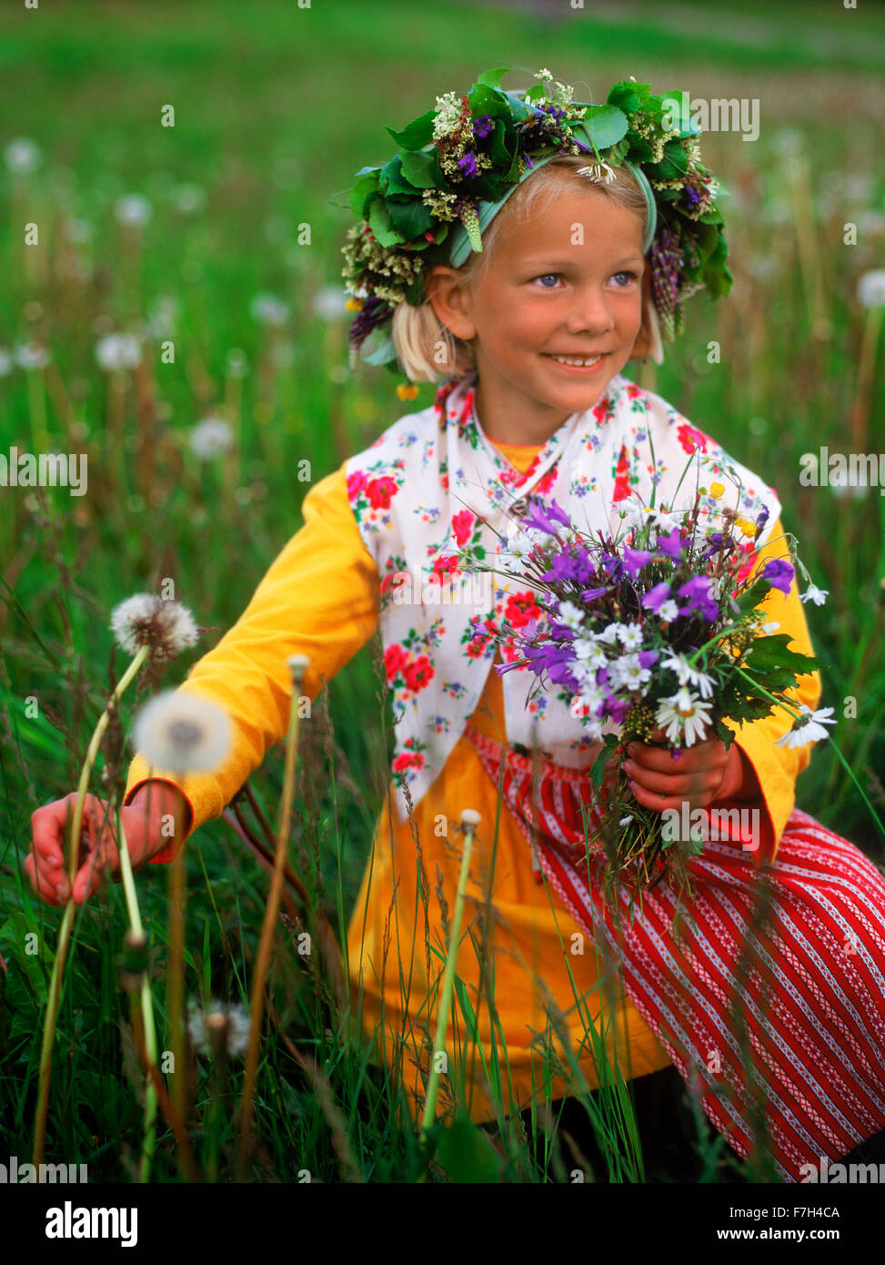 Girl in traditional Midsummer dress picking wild flowers for head crowns and Maypole in Sweden Stock Photo
