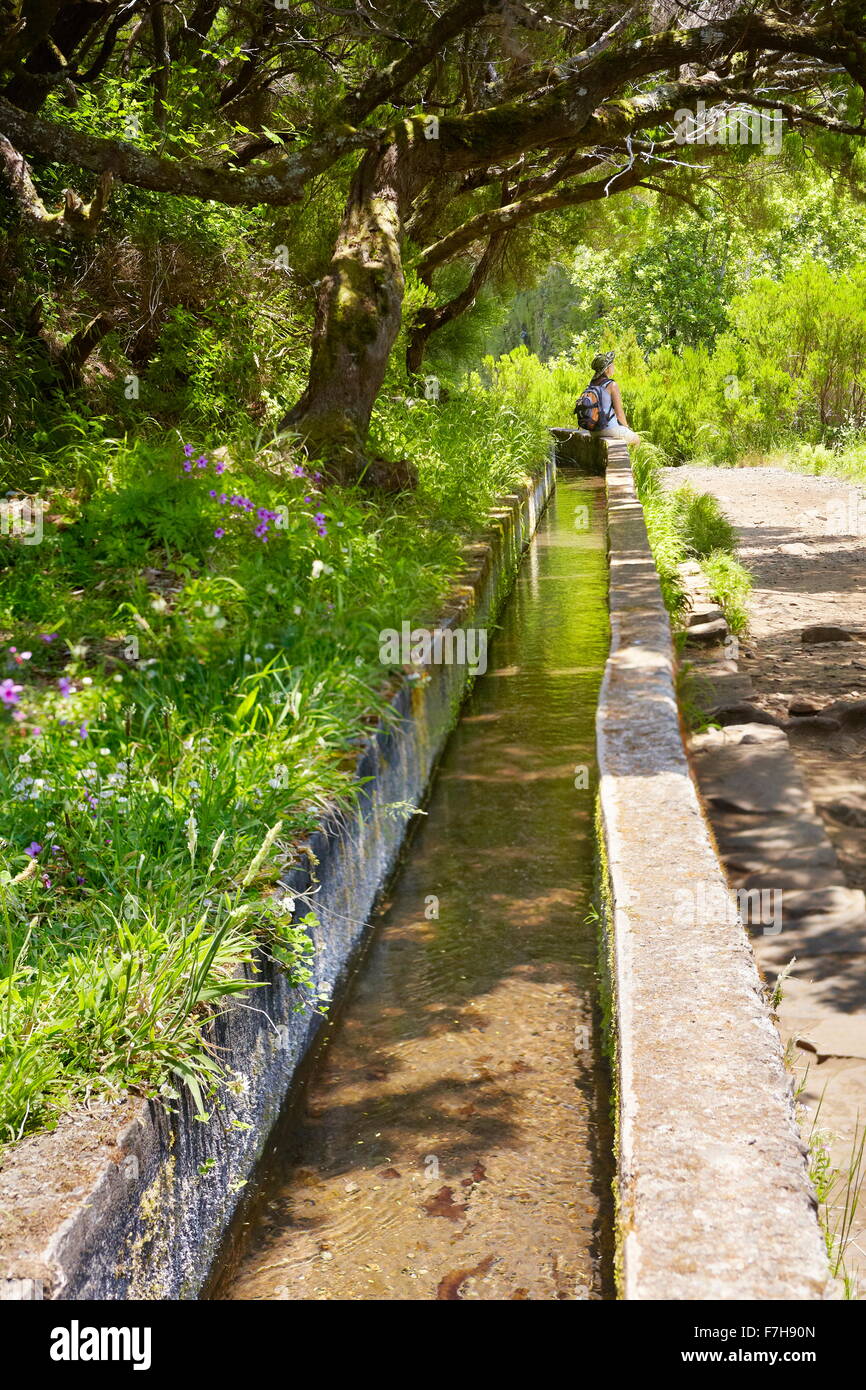Levada das 25 Fontes (25 fountains), irrigation canal, Rabacal, Madeira Island, Portugal Stock Photo