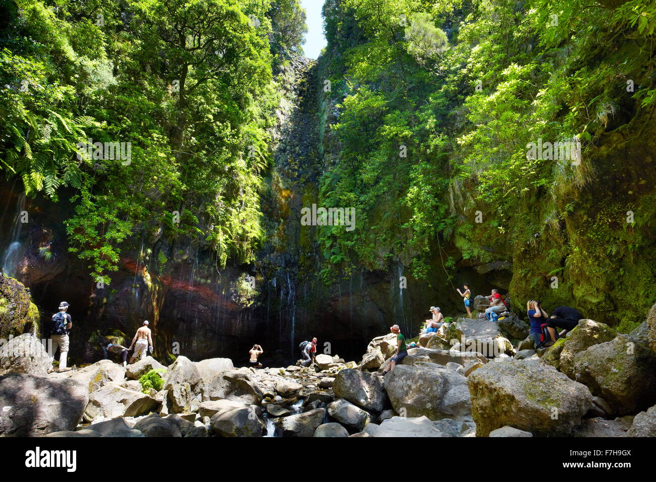 Tourists resting at the Levada 25 fountains, Rabacal, Madeira Island ...