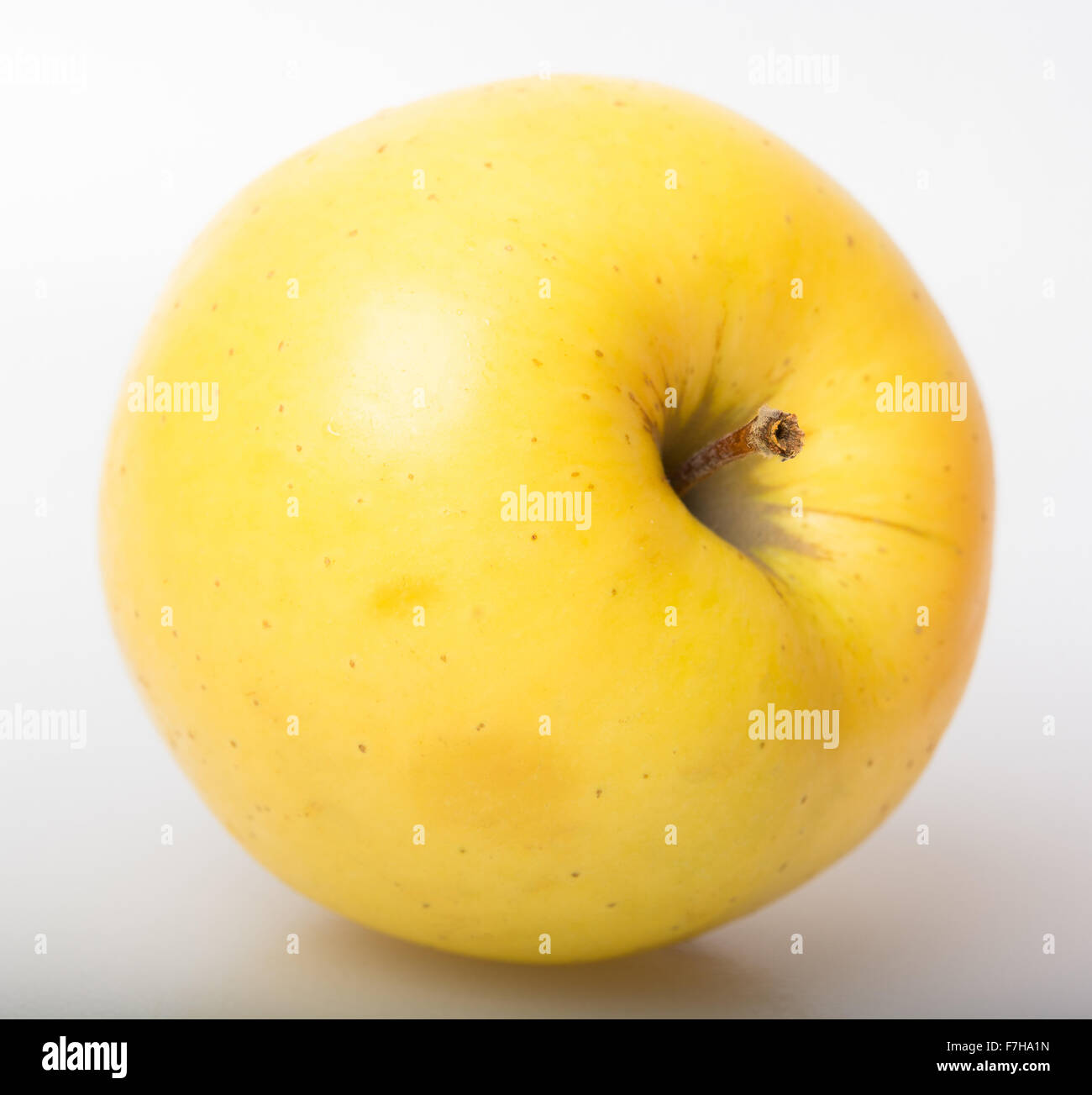 yellow ripe big Apple Stock Photo Alamy
