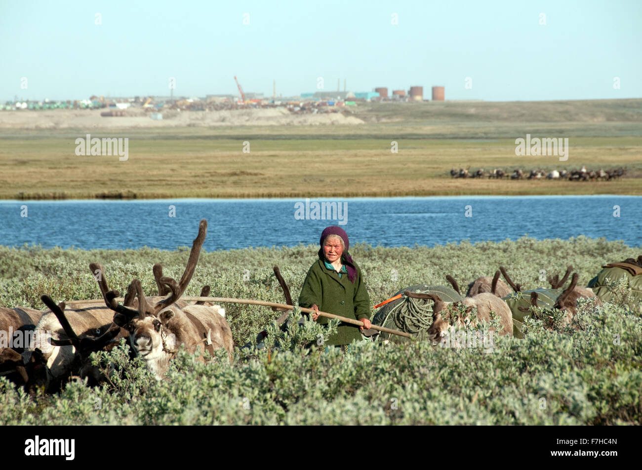 Nenets reindeer herders sledding close to Bovanenkovo gas field Stock Photo