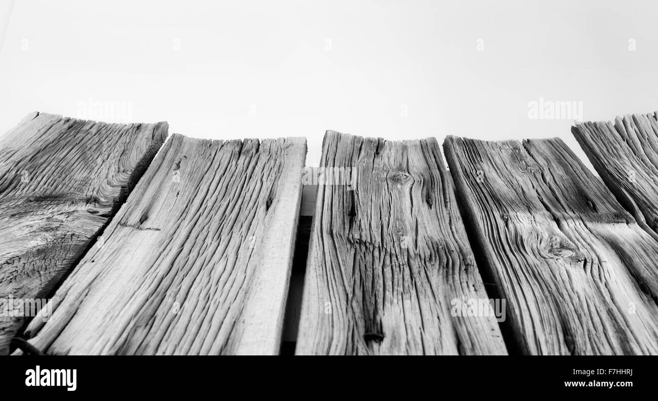 Old aged tree Black and White Stock Photos & Images - Alamy