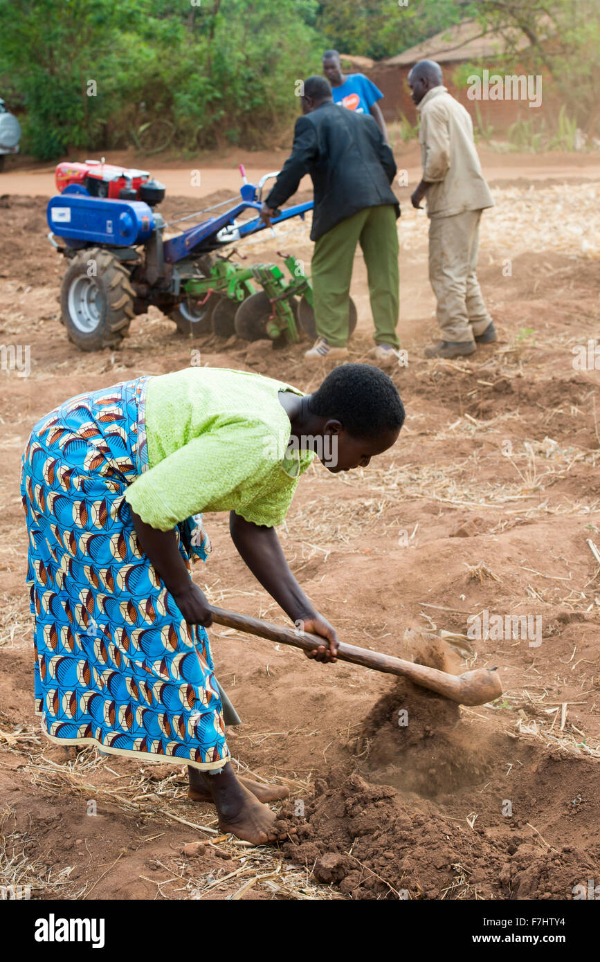 MALAWI, Lilongwe, hand tractor training for women small scale farmer Stock Photo