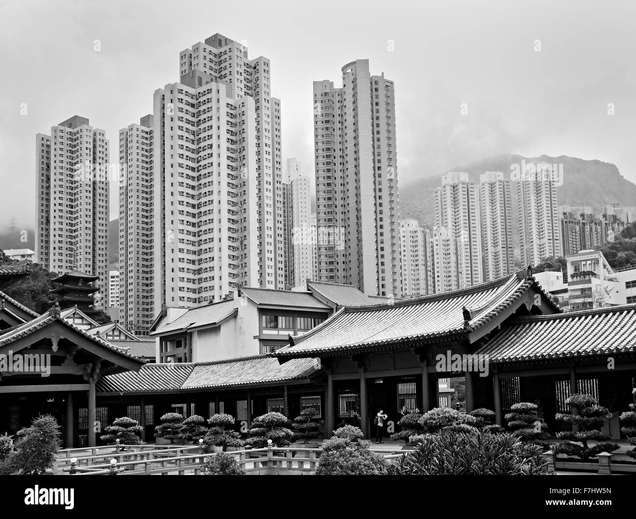 Chi Lin Nunnery with Hong Kong Skyline in the background. It was founded in 1934 as a retreat for Buddhist nuns and was rebuilt in the 1990s Stock Photo