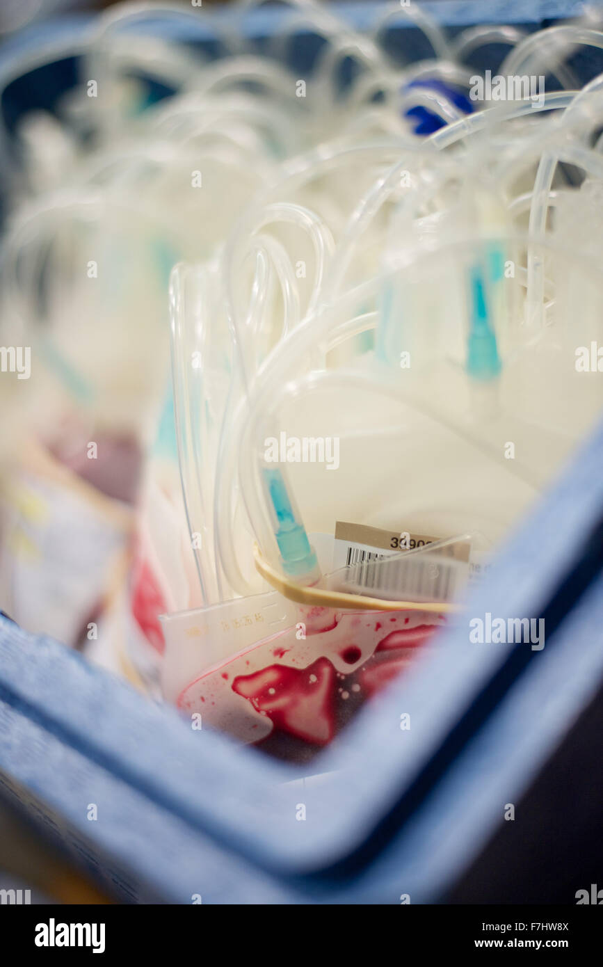 Close-up of blood bags in container Stock Photo
