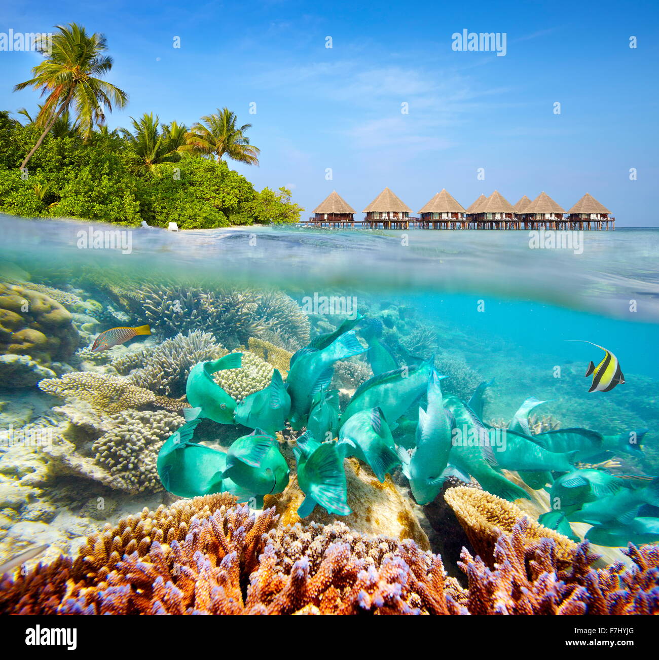 Underwater scenery at Maldives Island Stock Photo