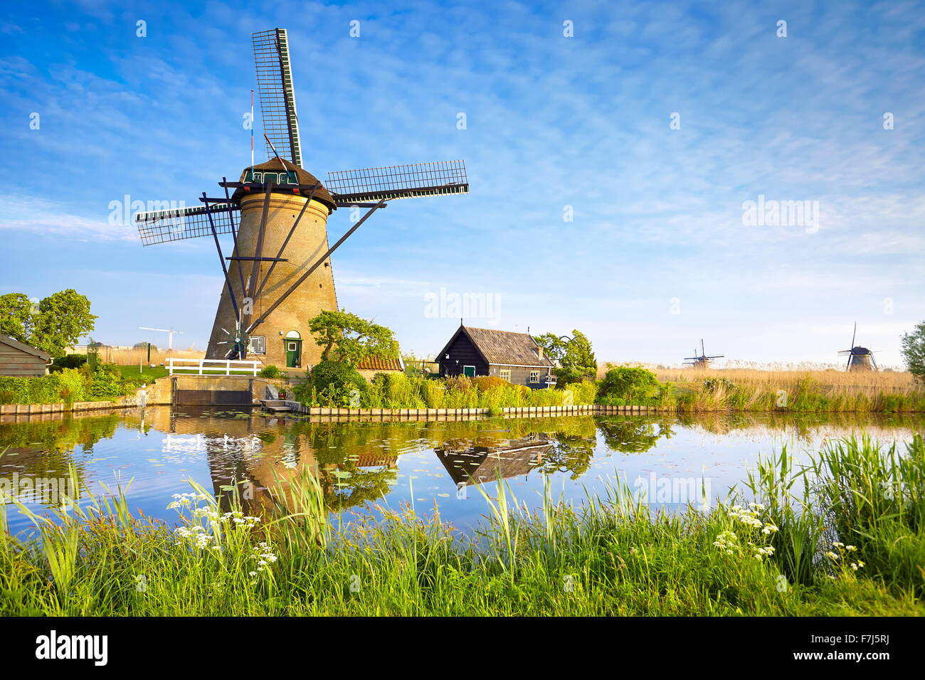 Starry night sky over Kinderdijk windmills