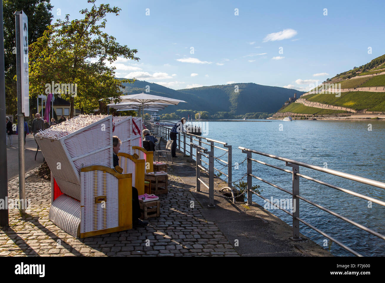 City of Bingen, upper middle Rhine valley, Germany, rive Rhine