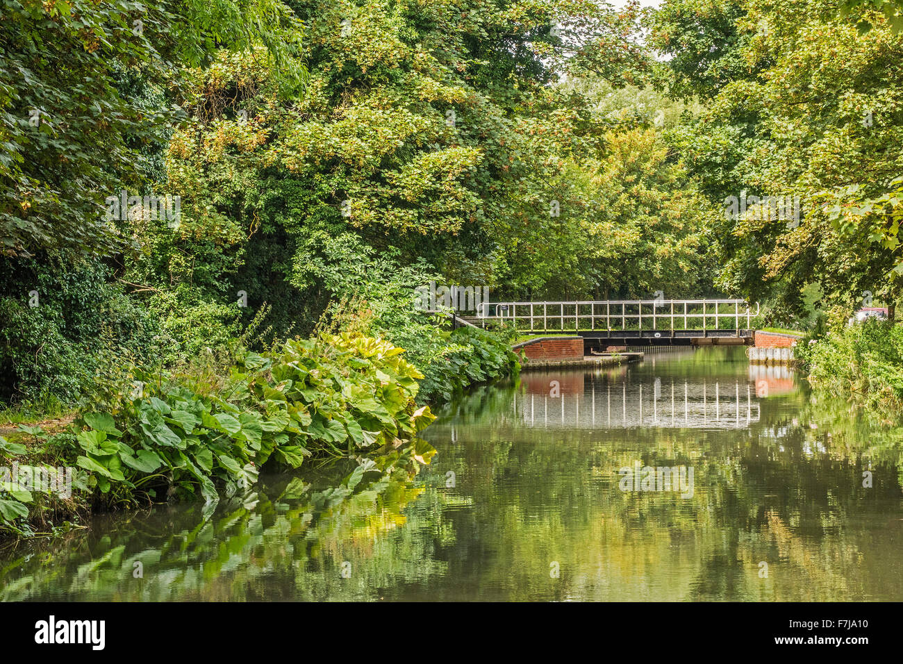 Bridge Across The Canal Thatcham Berkshire UK Stock Photo