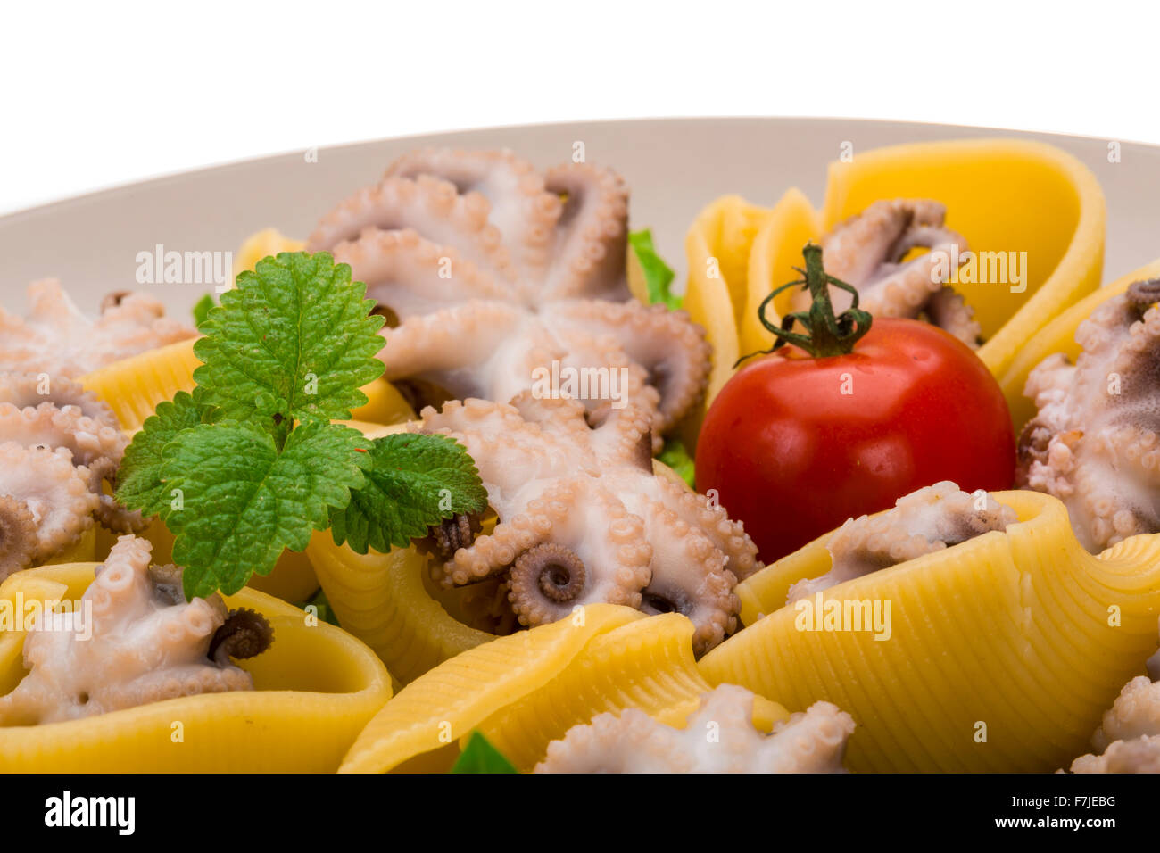 Lumaconi with octopus, cheese and herbs Stock Photo Alamy