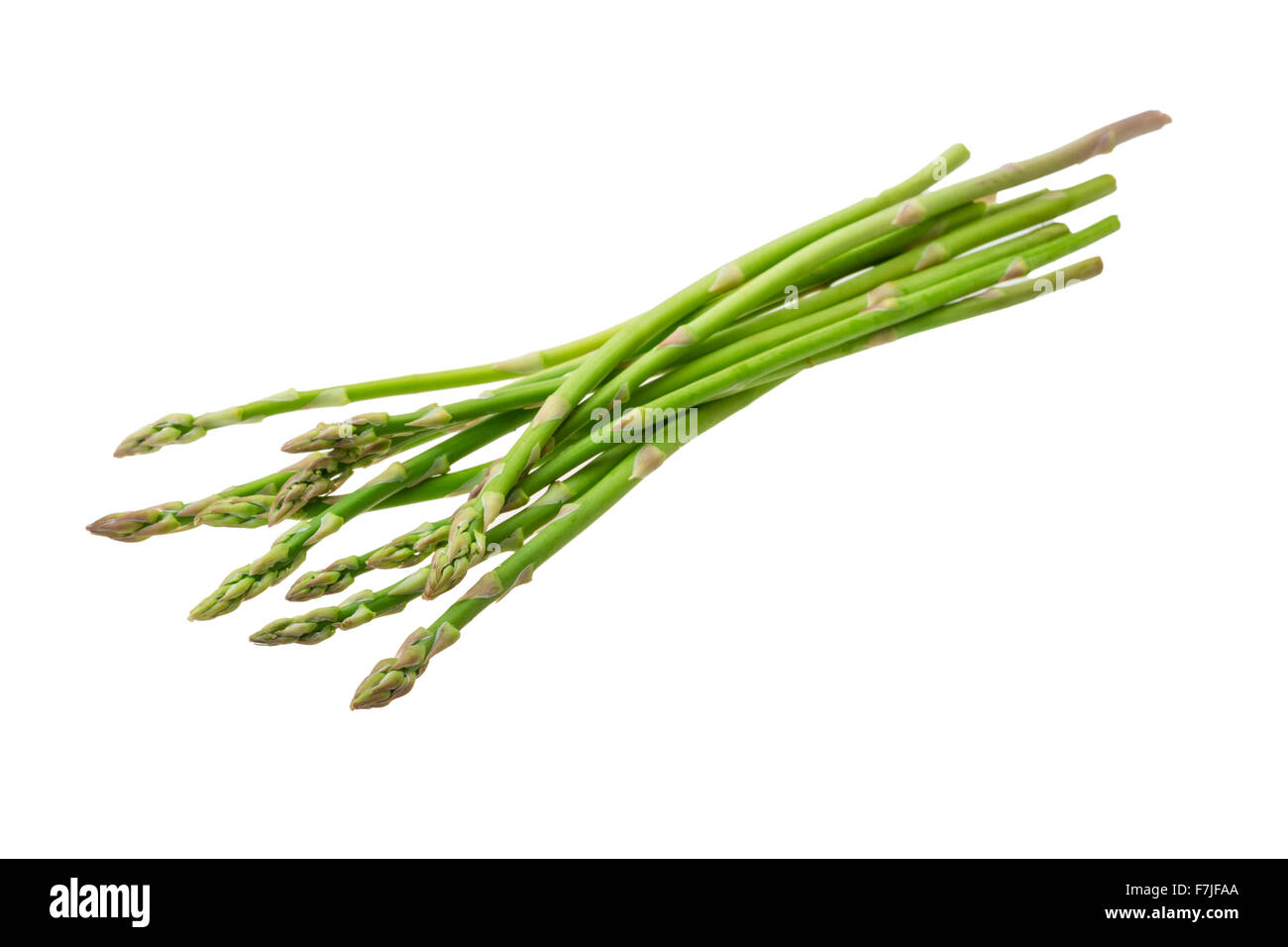 Baby asparagus isolated Stock Photo Alamy