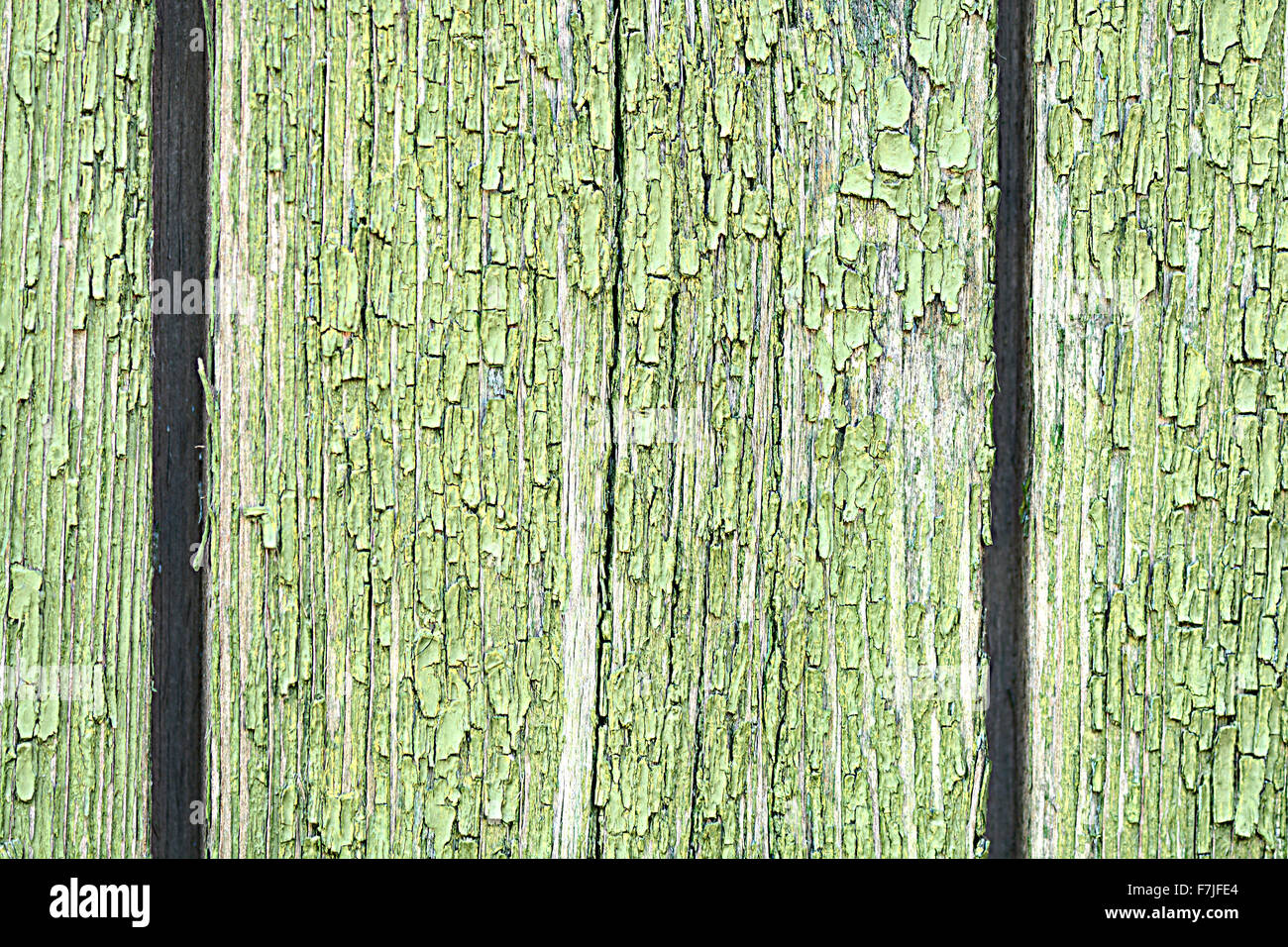 Dark green wood texture Stock Photo