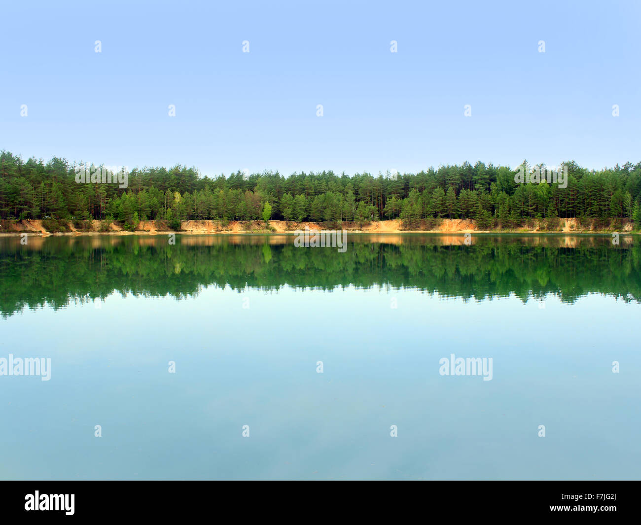 beautiful summer landscape with picturesque lake in the forest Stock ...
