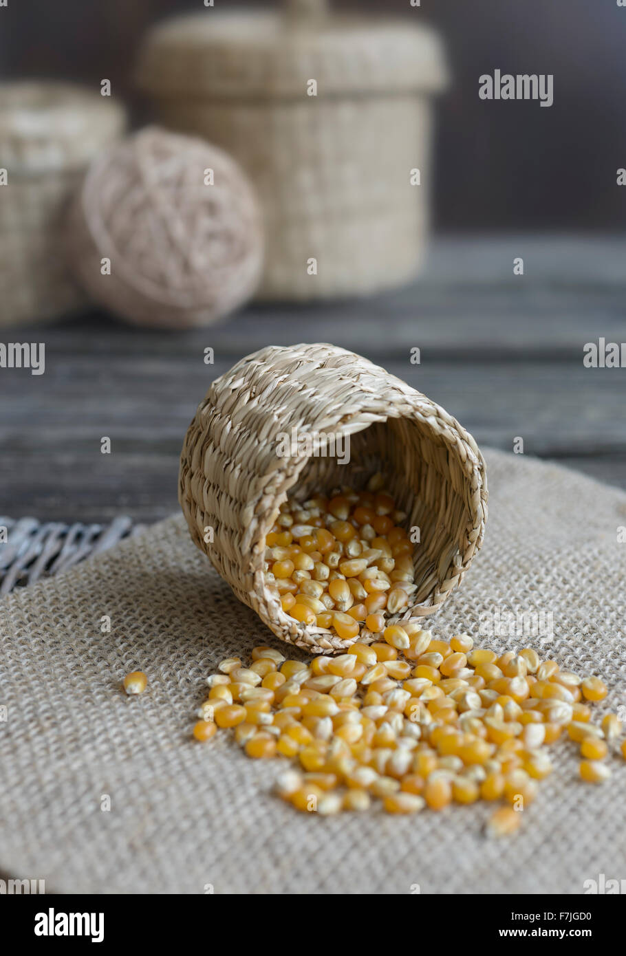 Maiskörner fallen aus einem Körbchen, Studioaufnahme Stock Photo