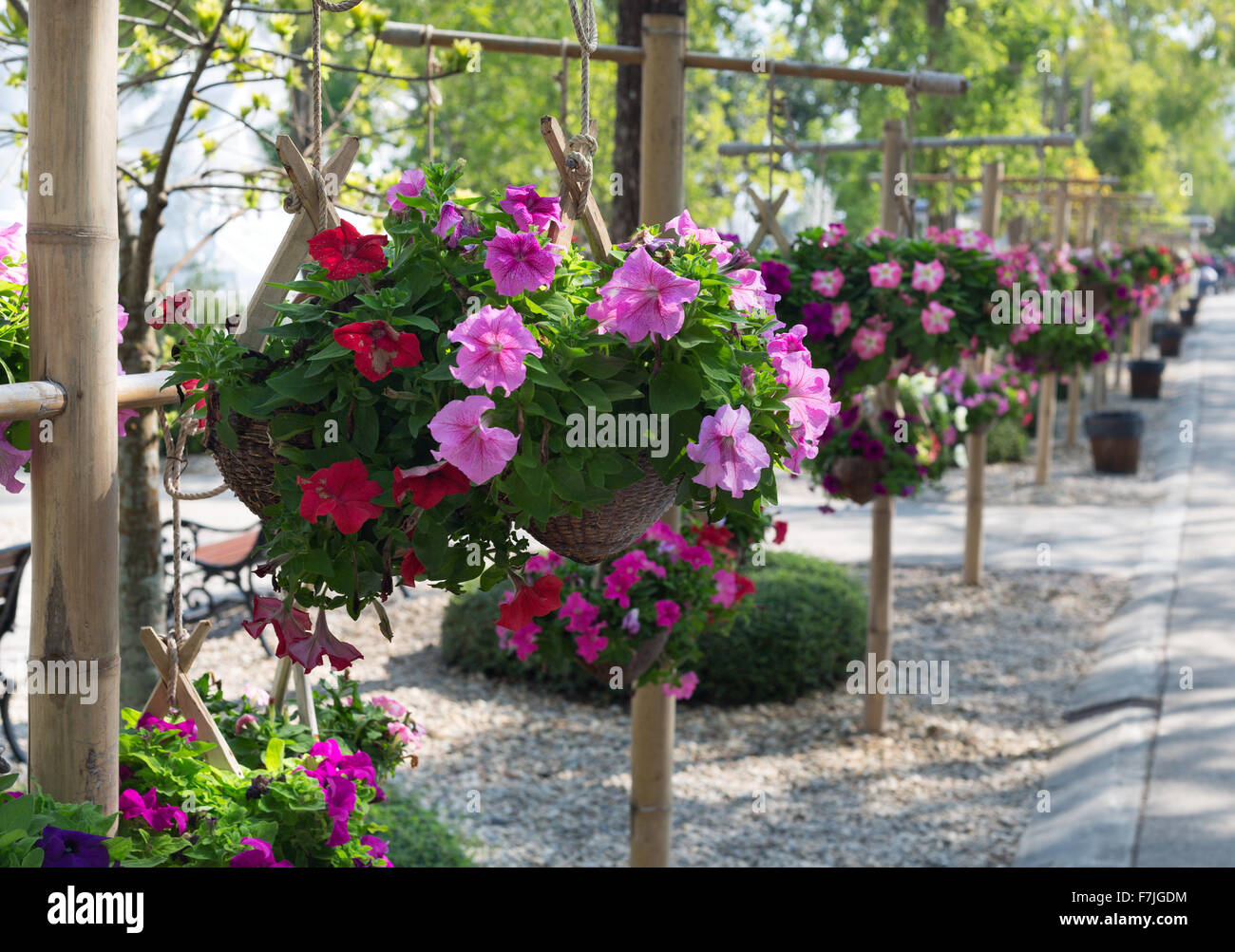 Hanging basket in park hi-res stock photography and images - Alamy