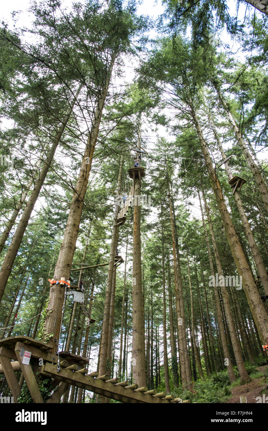 The course through the trees at the TreeTops Adventure Center near Betws y Coed in the Snowdonia National Park gets higher and h Stock Photo