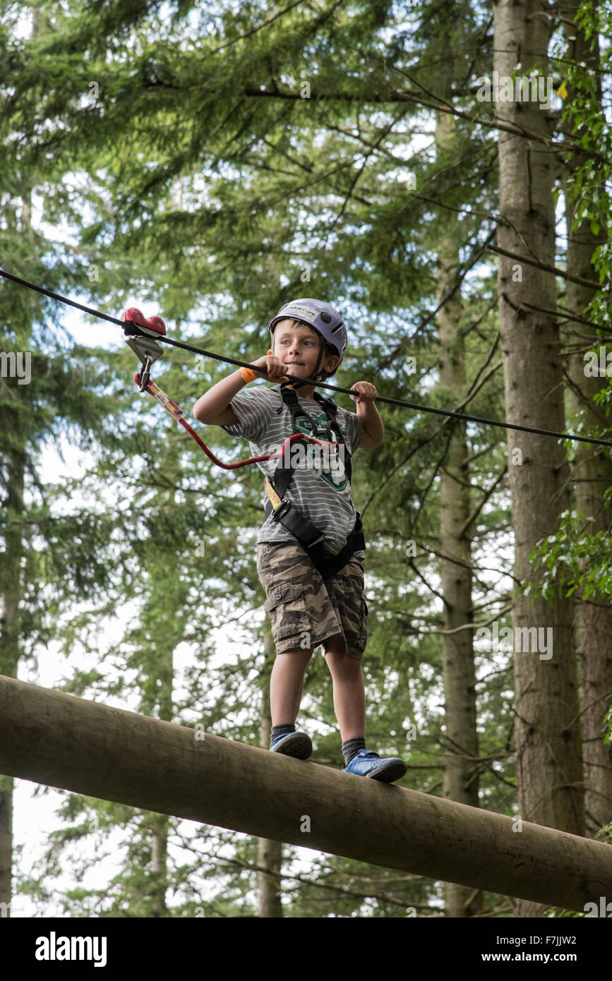 A test of courage up in the trees at the Tree Top Adventure center near Betws y Coed in the Snowdonia National Park Stock Photo
