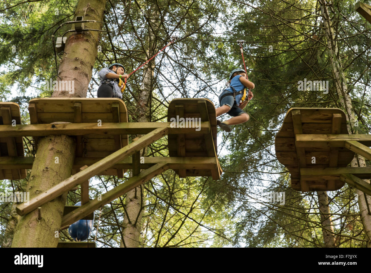 A leap of courage high up in the trees at the Tree Top Adventure center near Betws y Coed in the Snowdonia National Park Stock Photo