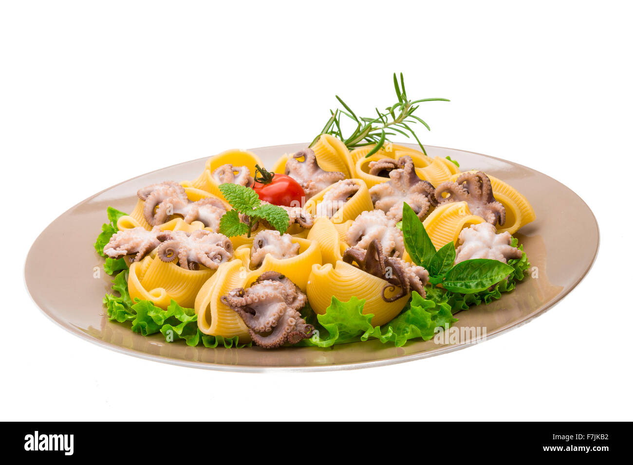 Lumaconi with octopus, cheese and herbs Stock Photo Alamy