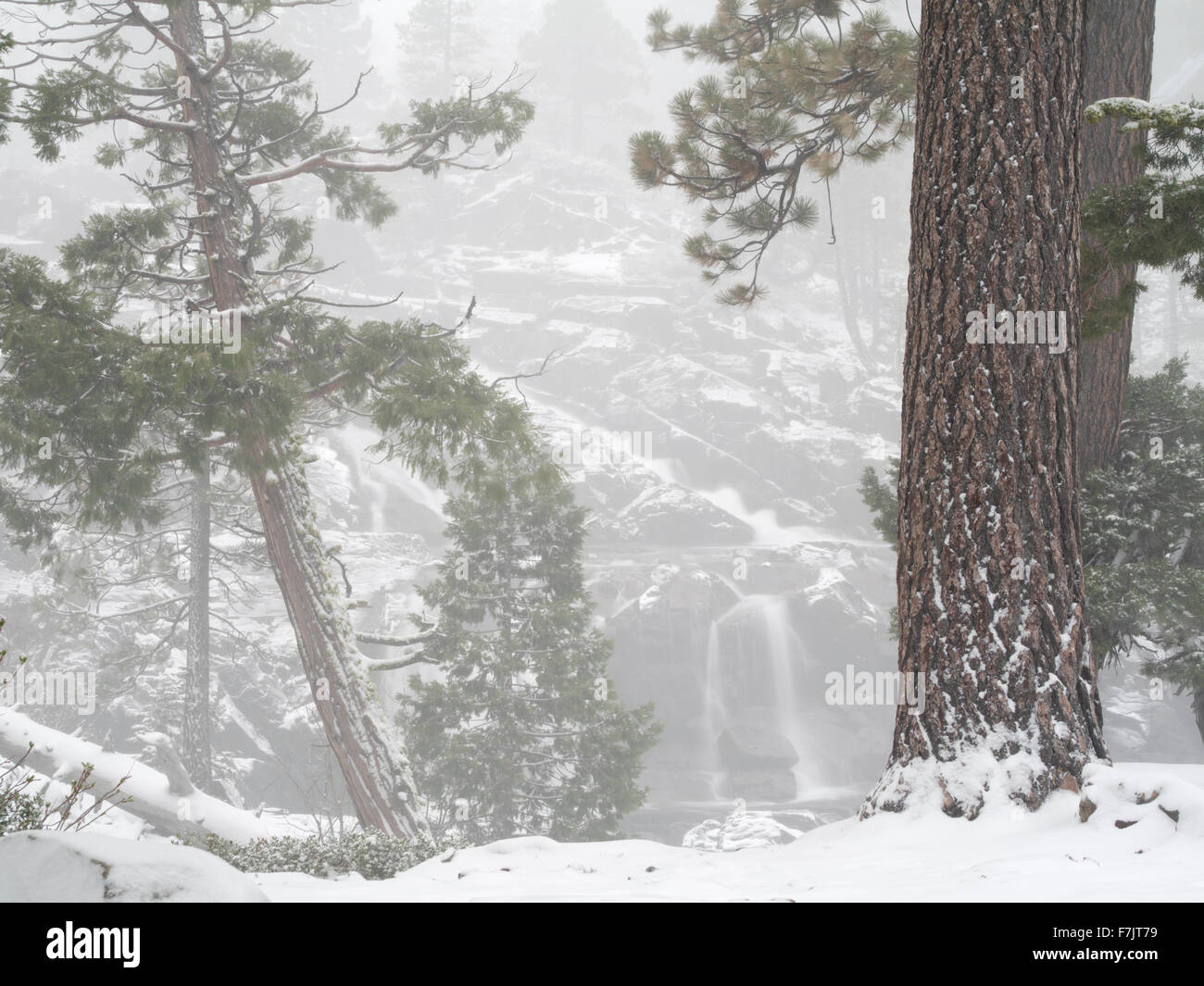 Glen Alpine Falls minutes after fresh snowfall. Lake Tahoe, California Stock Photo