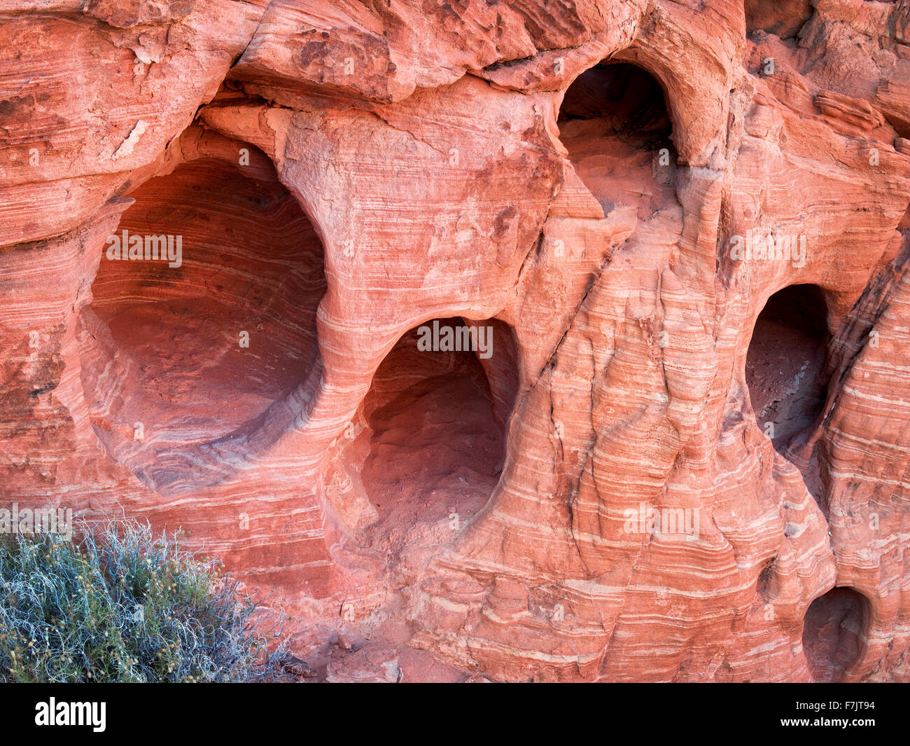 Eroded holes in sandstone. Valley of Fire State Park, Nevada Stock Photo