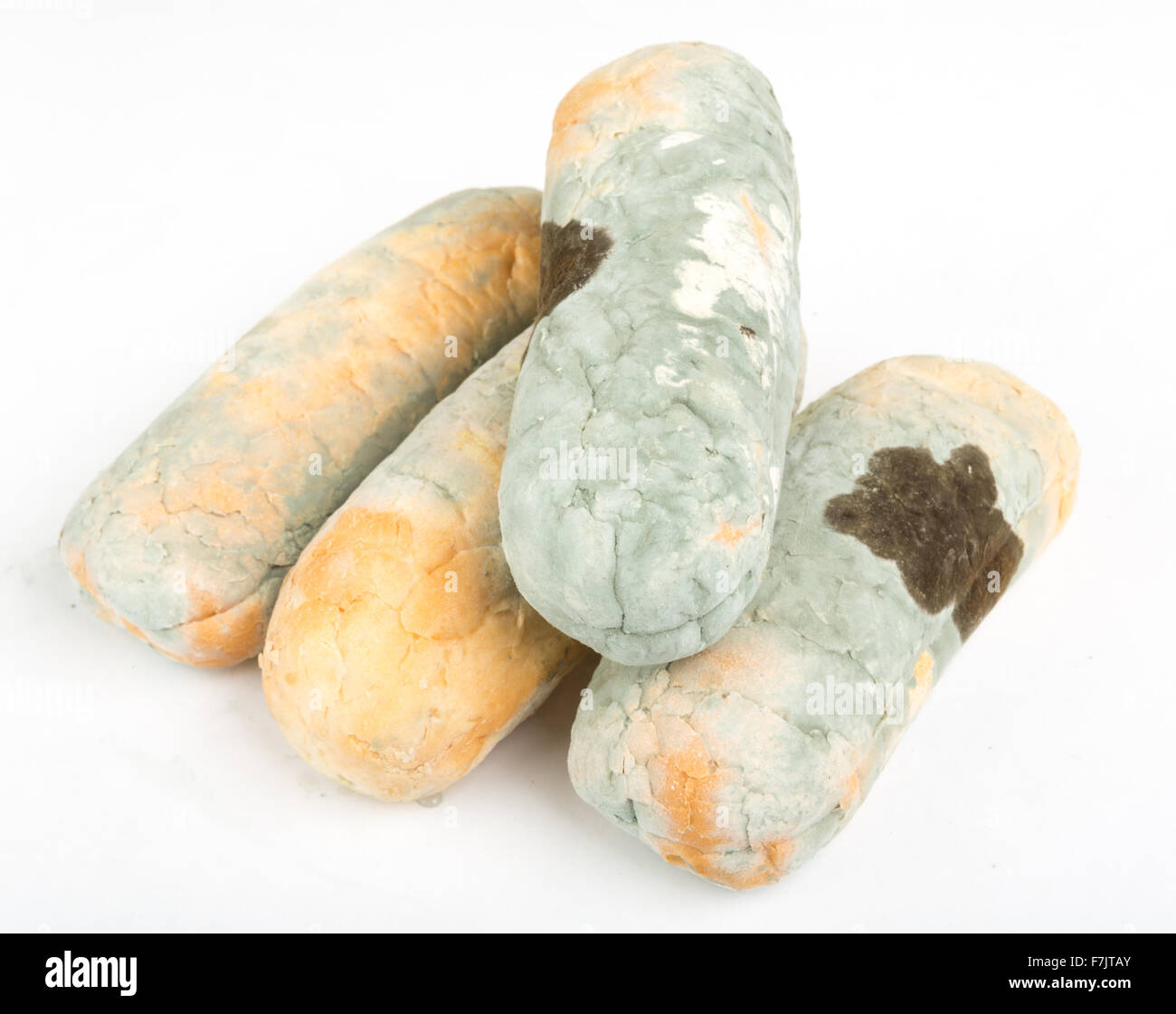 Old musty bread covered with green mold Stock Photo Alamy