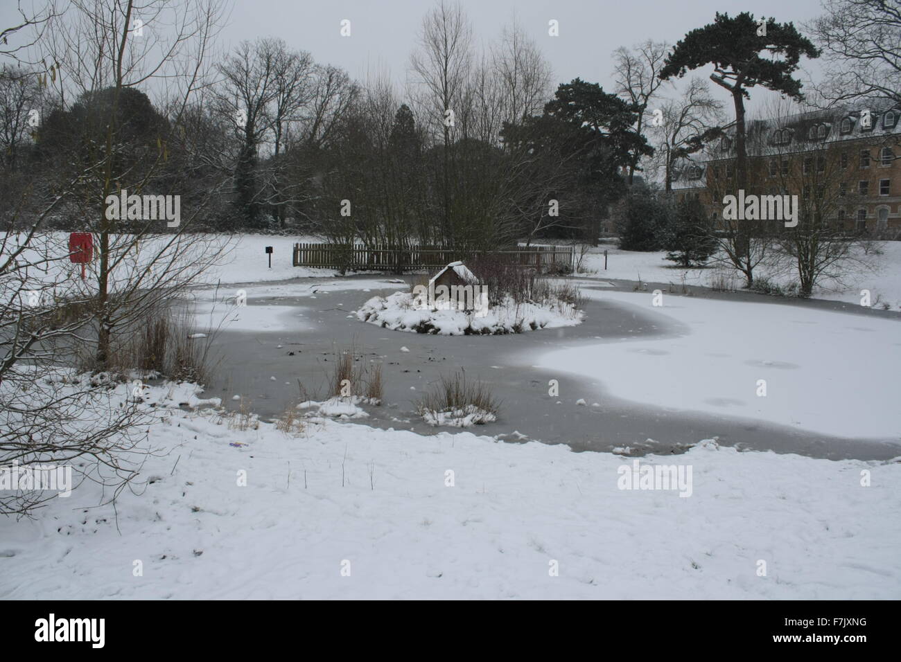 Snow covered pond and park in London, UK Stock Photo