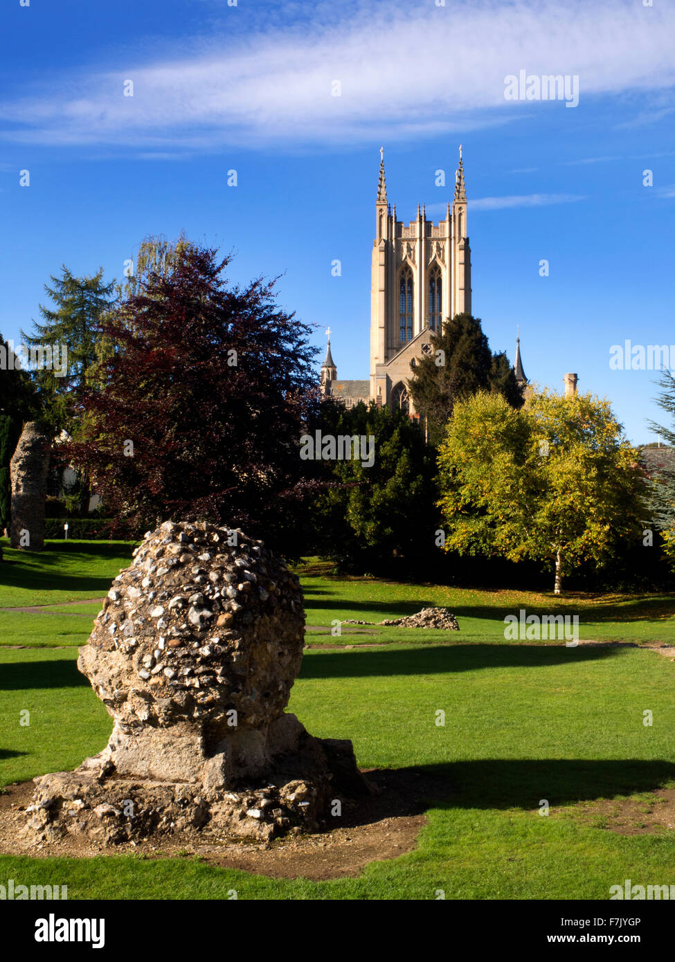 St Edmunsbury Cathedral from Abbey Gardens Bury St Edmunds Suffolk England Stock Photo