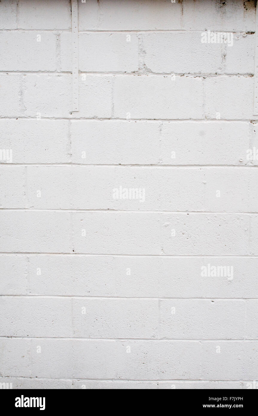 whitewash whitewashed white wash washed washing paint painted breeze