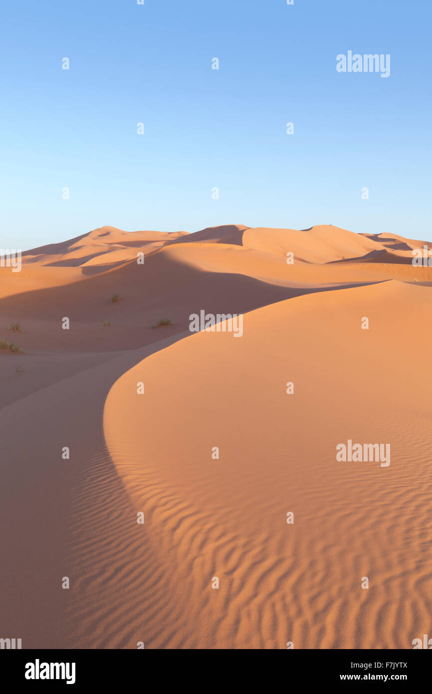 Sand dunes, Erg Chebbi, Merzouga,  Sahara desert, Morocco Stock Photo