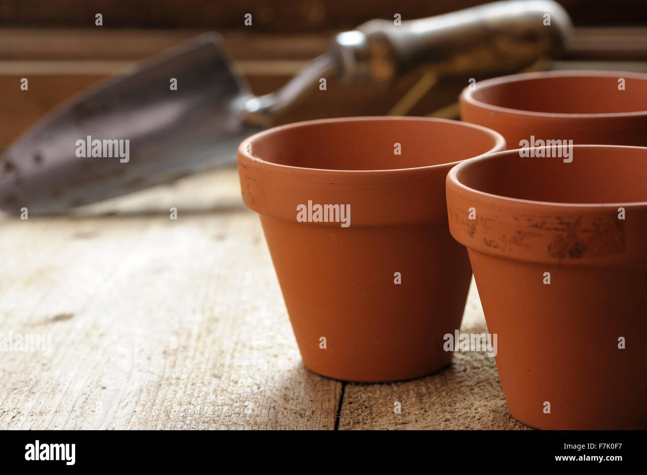 Three terracotta pots on a potting bench, with hand trowel in background. Stock Photo