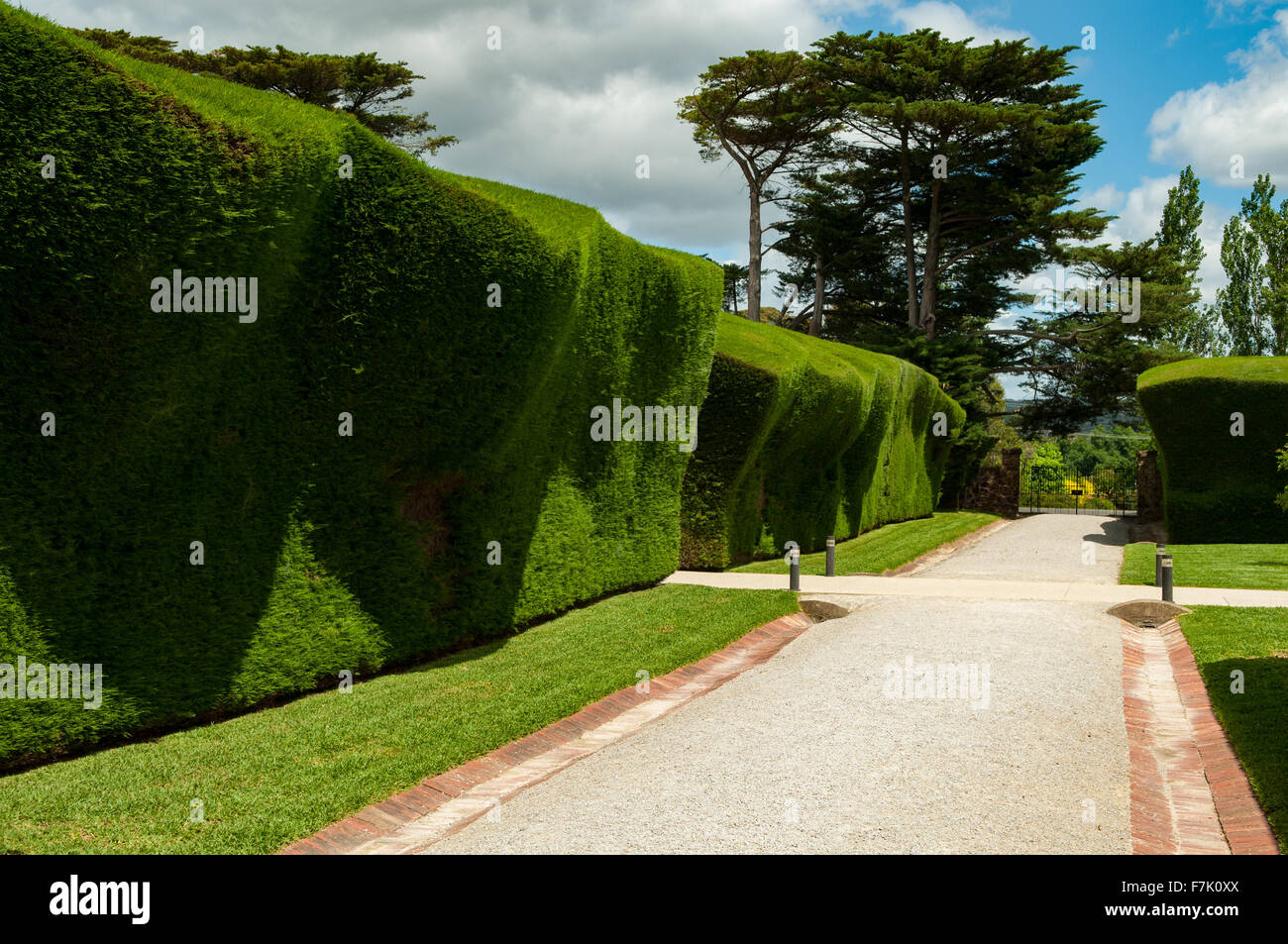 The Hedge, Coombe Gardens, Coldstream, Victoria, Australia Stock Photo