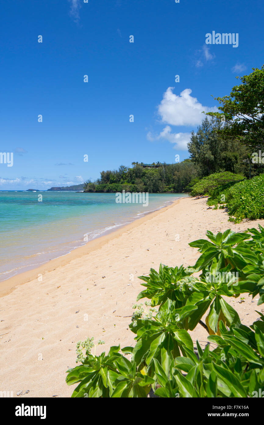 Anini Beach, Kauai, Hawaii Stock Photo