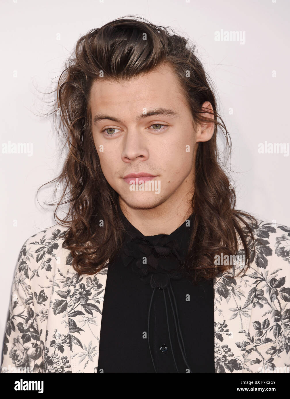 HARRY STYLES UK pop singer with One Direction in November 2015. Photo Jeffrey Mayer Stock Photo