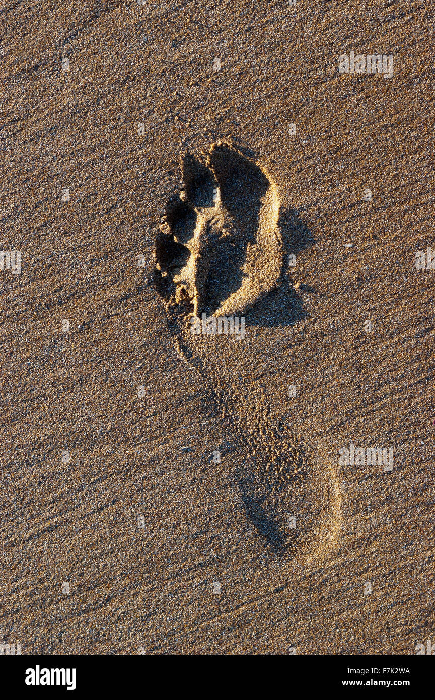 Foot-print in sand Stock Photo - Alamy