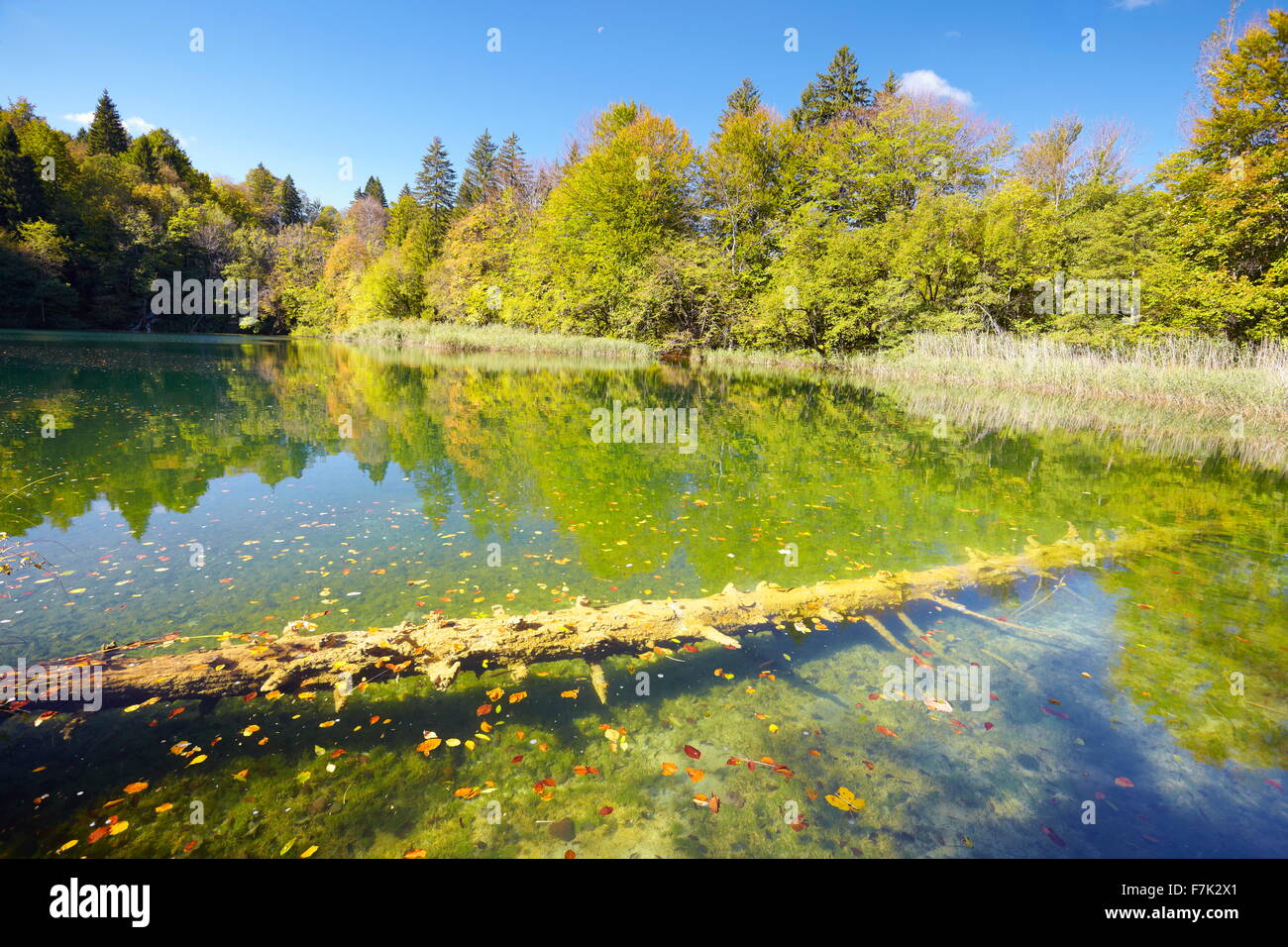 Plitvice Lakes National Park, Croatia, Europe Stock Photo