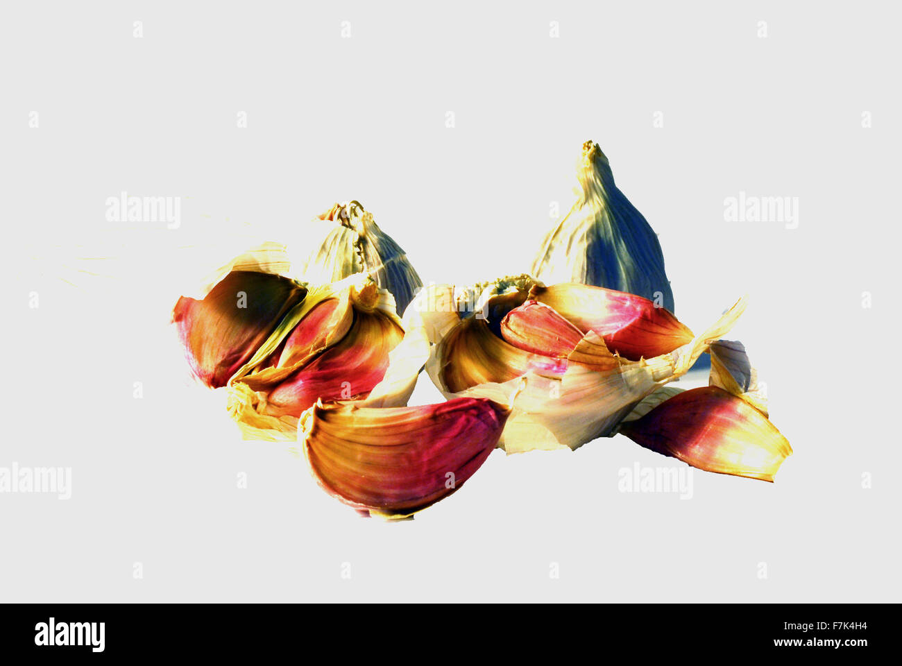 garlic,garlic cloves,herb,italy,italian,white background ,isolated