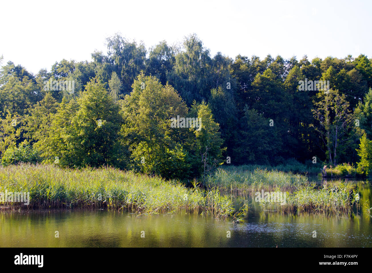 view of the beautiful river and forest Stock Photo - Alamy