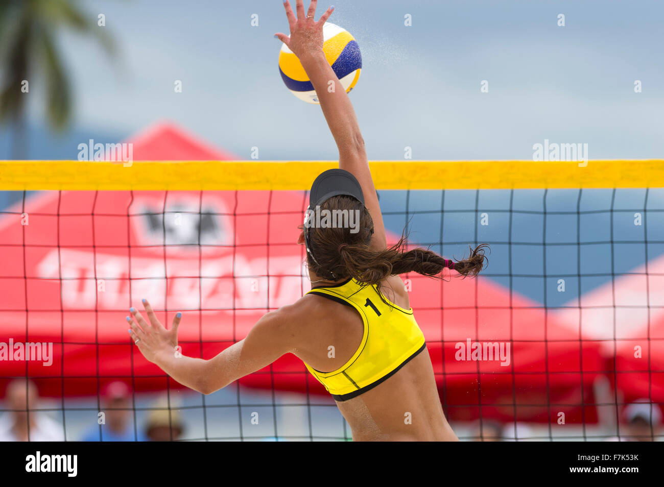 Volleyball player is a female athlete volley ball player rising up to