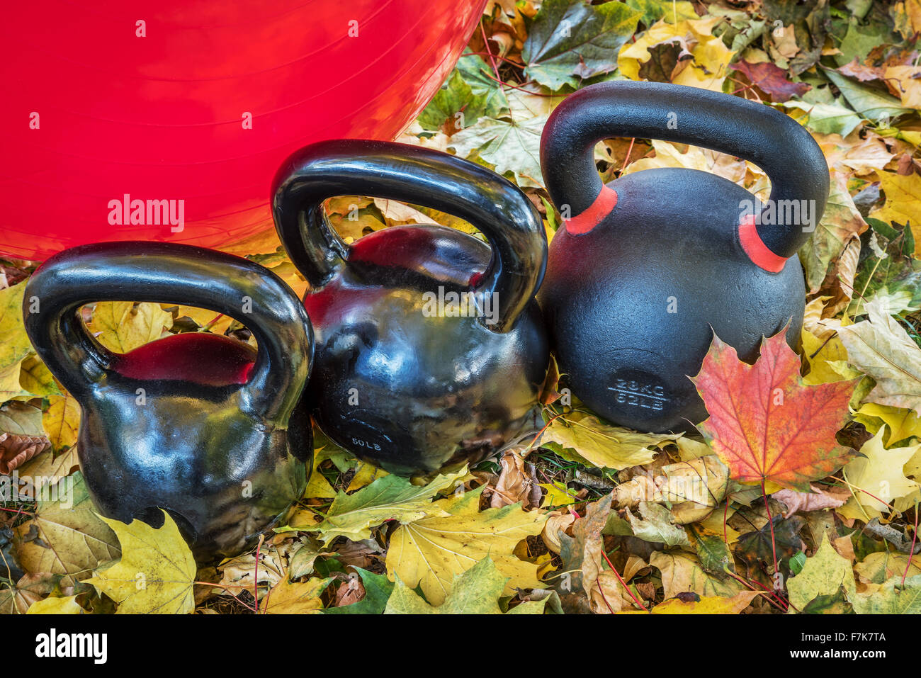 Body Building Swiss High Resolution Stock Photography and Images - Alamy