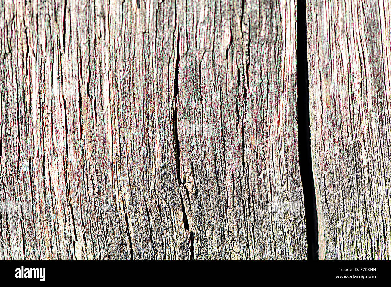 Wood plank texture, background Stock Photo - Alamy