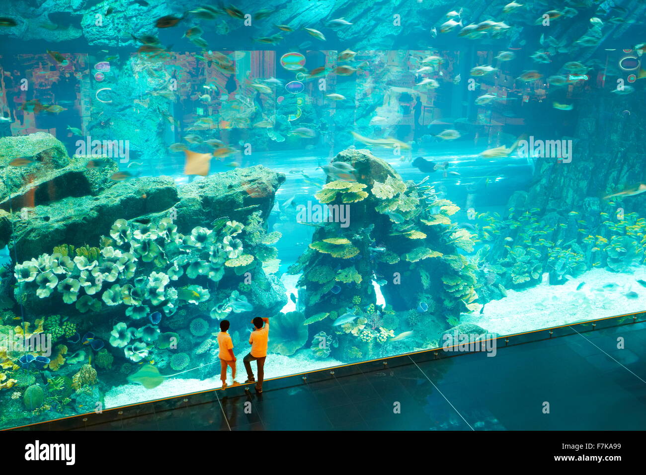 Children looking at The Dubai Mall Aquarium, Dubai, United Arab Emirates, Middle East Stock Photo